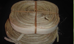 Plant fibre material 